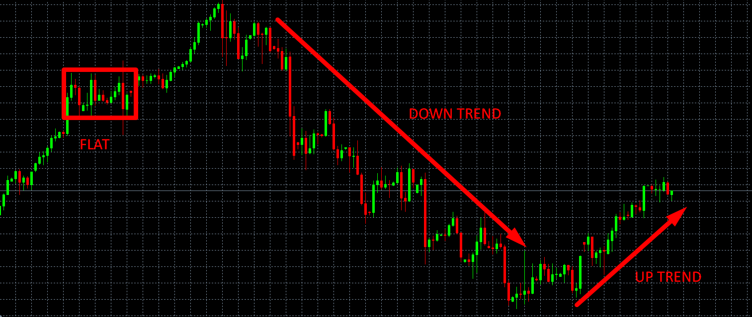 TRENDS.png